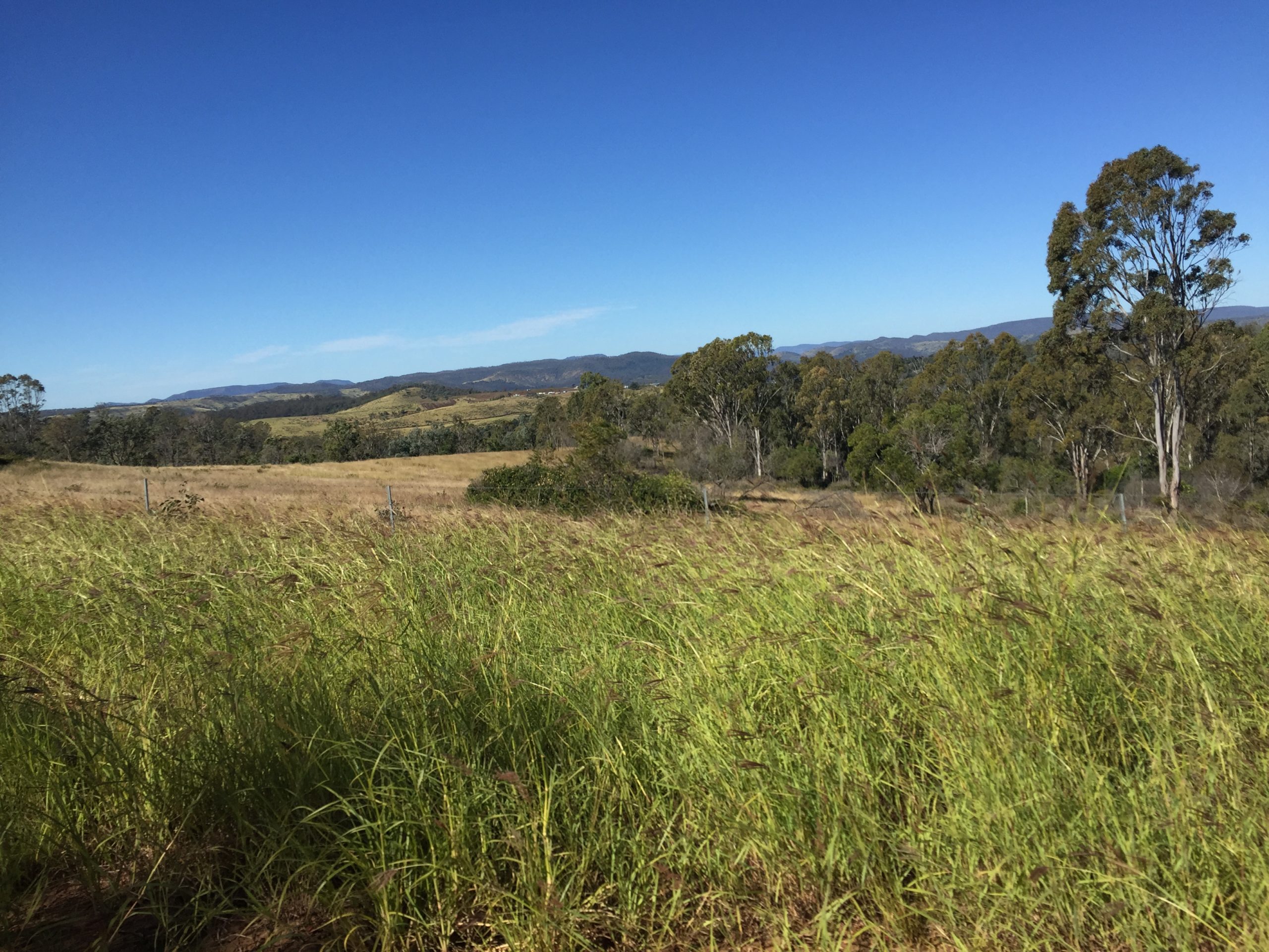 Gympie Regional Council Land for Wildlife