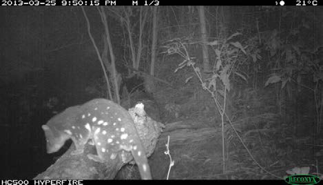 27land-for-wildlife-july-2014
