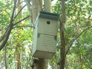 Ian Gorrie Nestbox