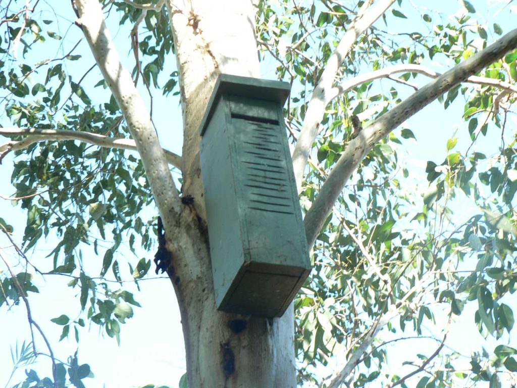 Ian Gorrie Nestbox