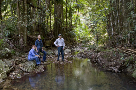 Looking back on 17 years of Land for Wildlife South East Queensland