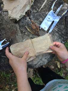 Mapleton School paperbark book