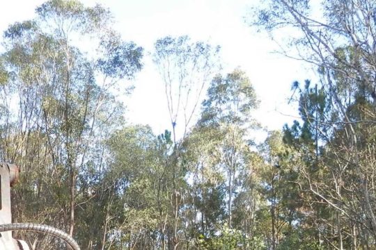 A Journey with Land for Wildlife, Gympie