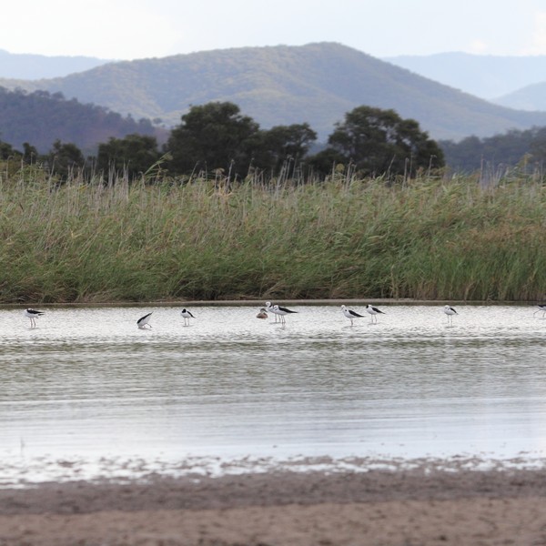 View of Scenic Rim