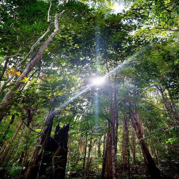 Sunshine Coast Hinterland