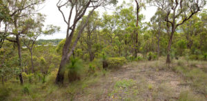 Chermside Hills Brisbane