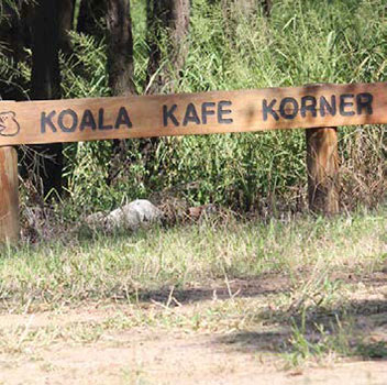 Community managed Council reserve Koalas.