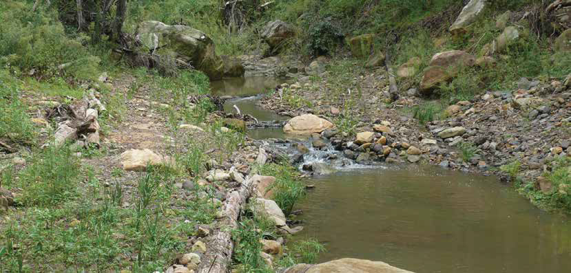 reconstructed creek