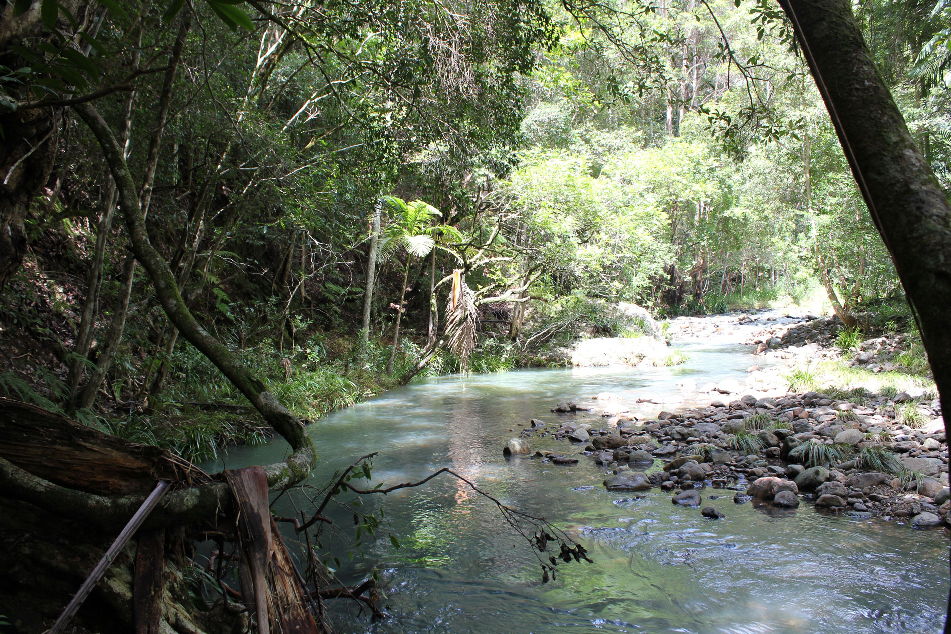 stretch of Upper Mudgeeraba Creek on David’s property.