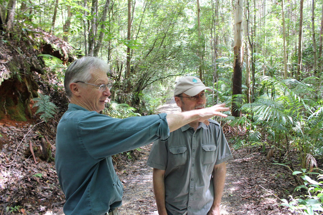 David Blomfield shows Darryl Larsen (GCCC Land for Wildlife Officer) a patch of healthy regenerating rainforest that was a wall of lantana ten years ago.