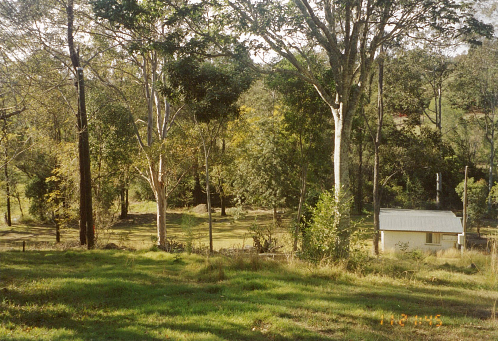 One year after mowing ceased