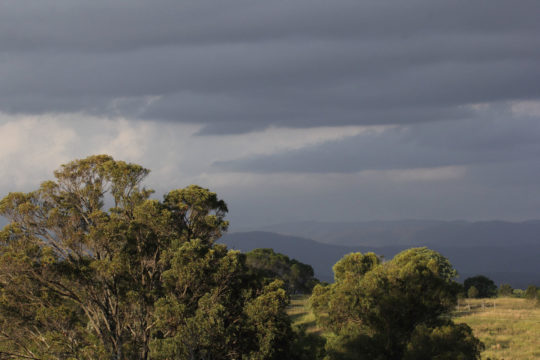 Jensen Swamp: Part of the Open Property Scheme 2014