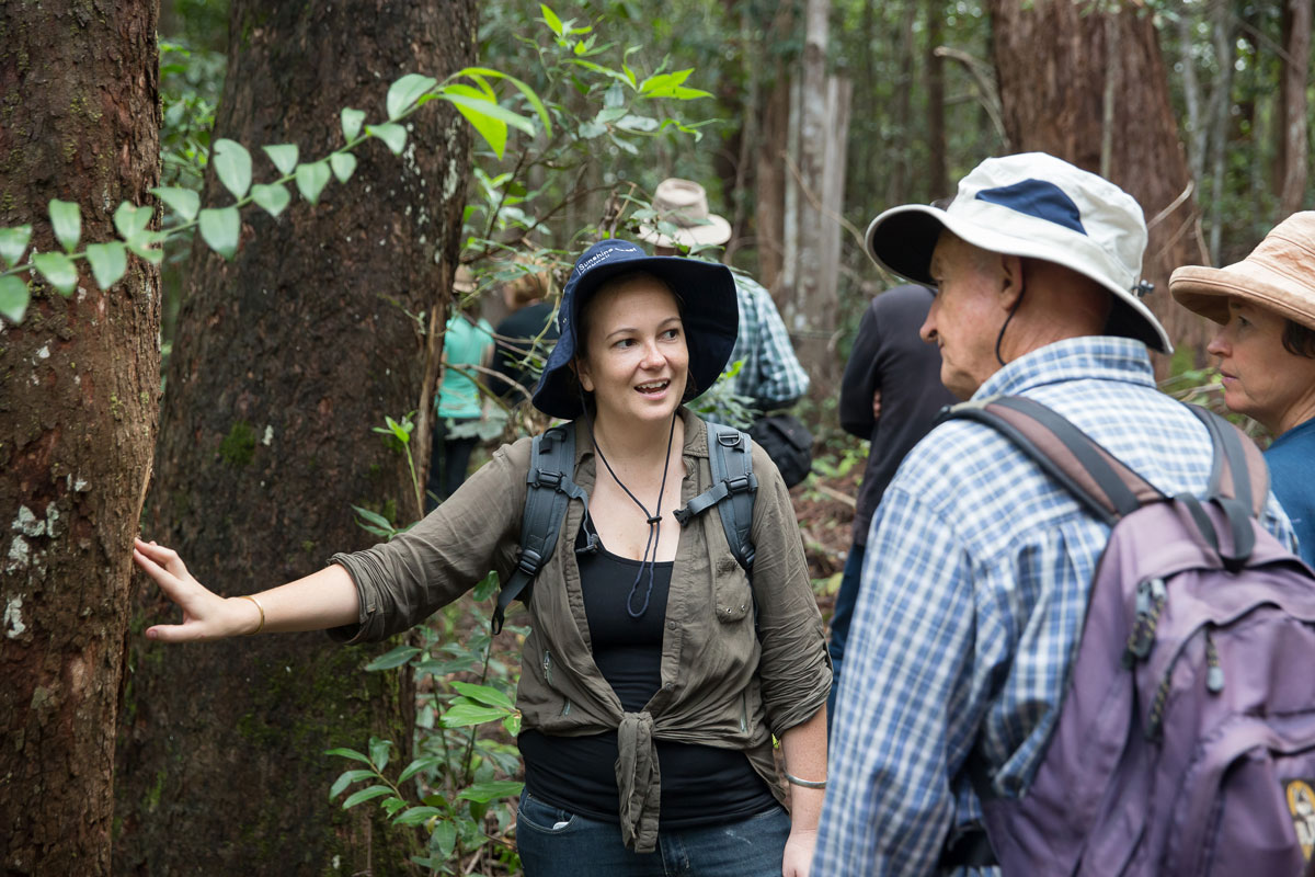 Natural Bushland with Land for Wildlife