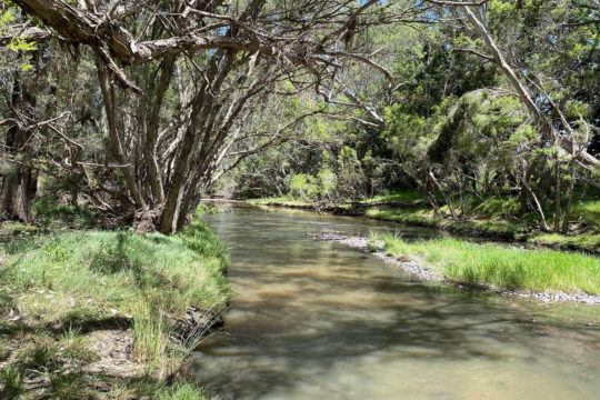 Property Profile: Weeds, revegetation and water quality monitoring