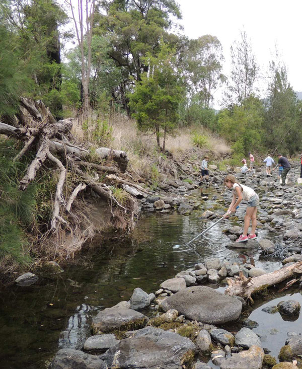 Students caught and identified macro-invertebrates in the creek at Glen Rock to gauge the health of the water