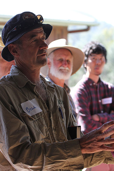 Bill Ellis, Koala researcher