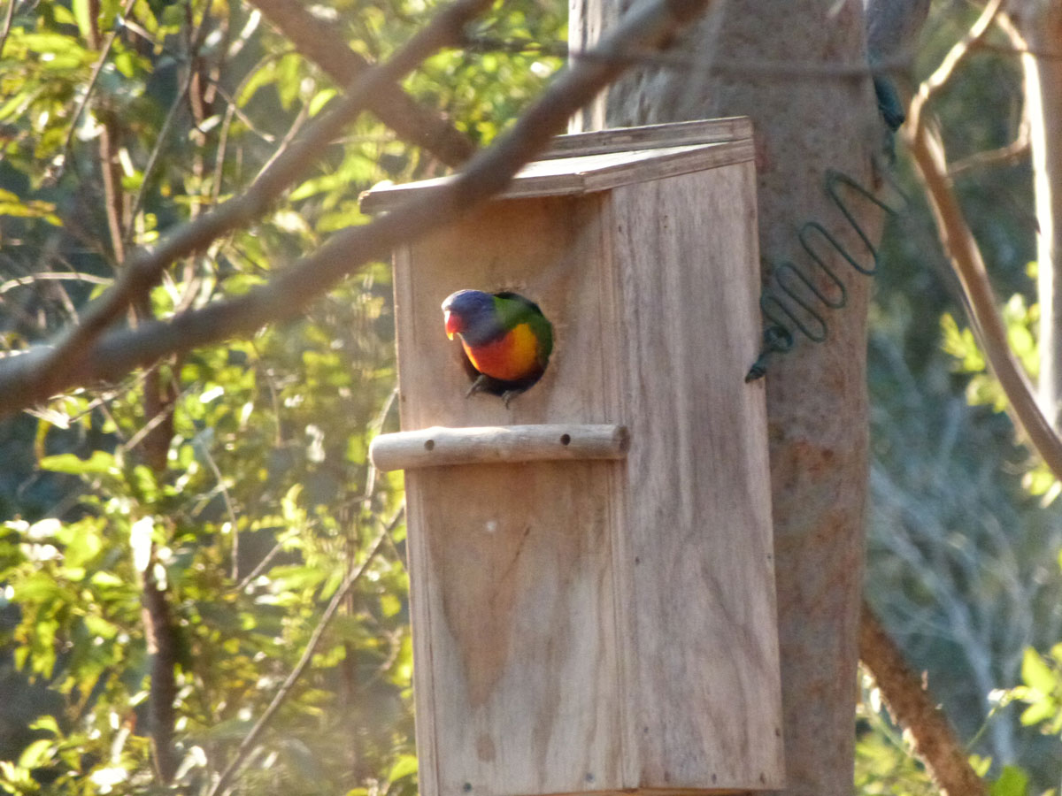 image of nest boxes