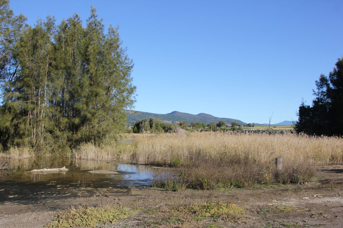 image of land after rejuvenation program