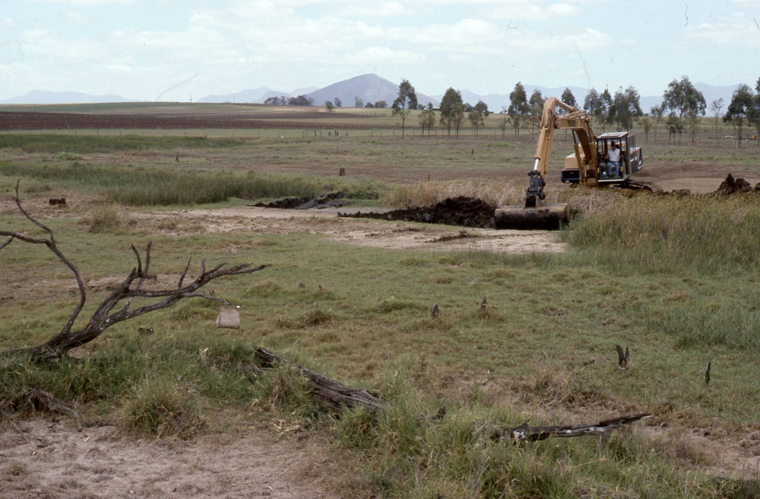 Heavy machinery working on turning this degraded, salty land into a wetland