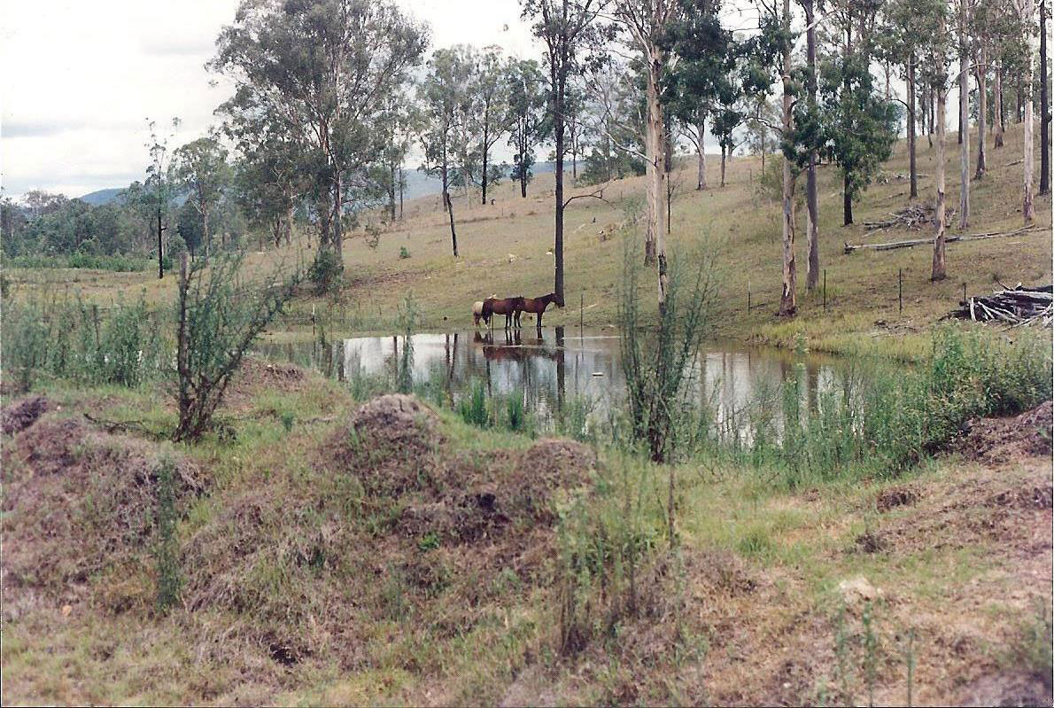 The before image of a Boggy Degraded Dam in 1994