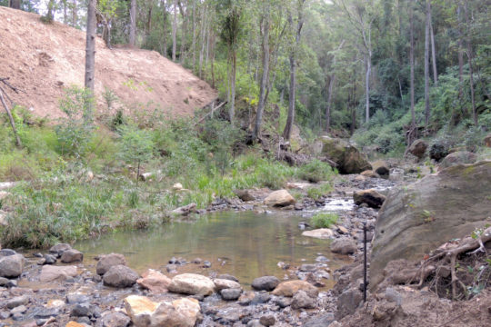 Property Profile: Bringing back the platypus, Murphy’s Creek