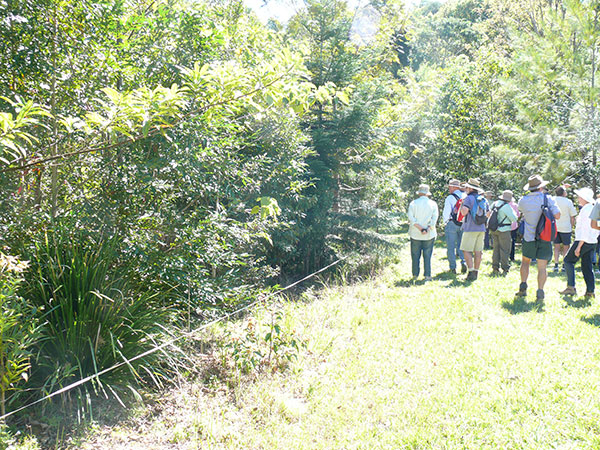 Some revegetation on Coreen’s property. Note the use of sedges, shrubs and trees in the plantings.