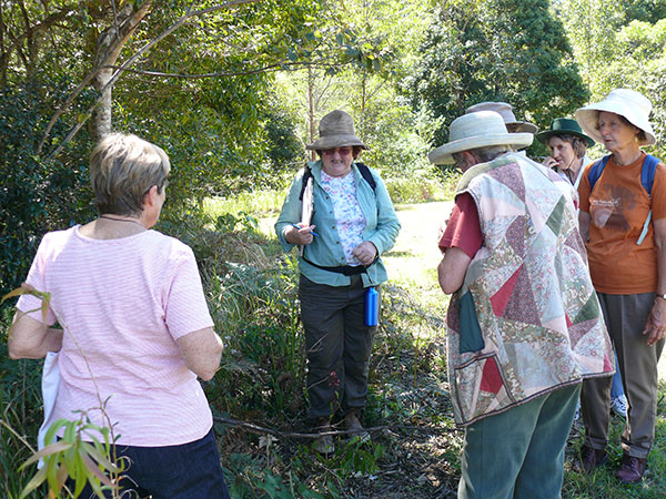 Botanist, Ann Moran, points out some identifying characteristics of plants on Coreen’s property.