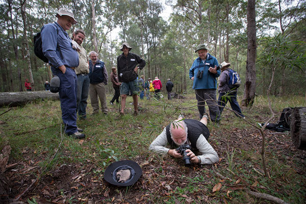 Hugh Wackwitz photographing Ground Orchids