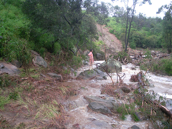 Judy Whistler inspecting the changes to Spinach Creek after the devastating floods of January.