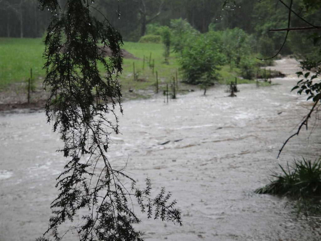 An image of the flood in Wonga Creek in May 2015