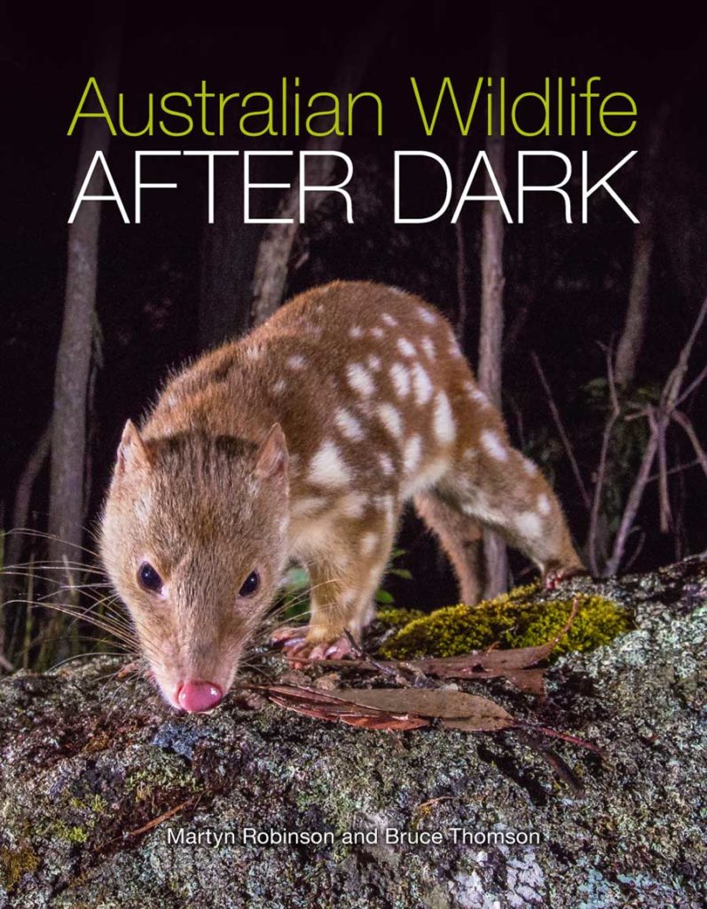 An image of the book Australian Wildlife After Dark