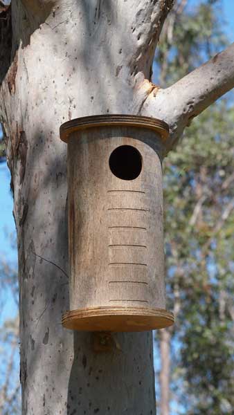 Bales Nest Box