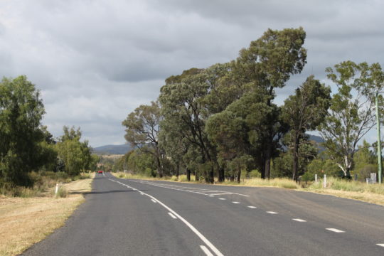 Ecosystem Profile – Brigalow Scrub