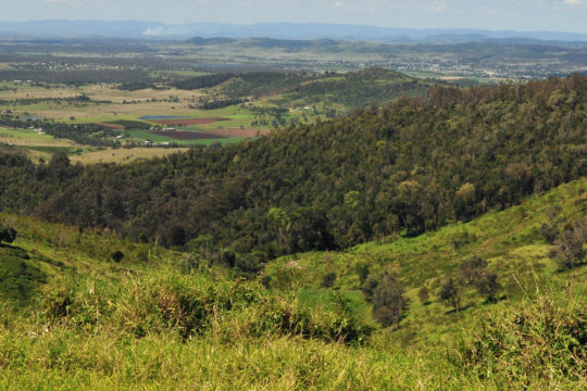 Dry Rainforests of SEQ