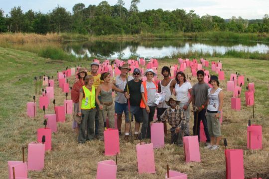 Folk Festival Creates a Wildlife Haven