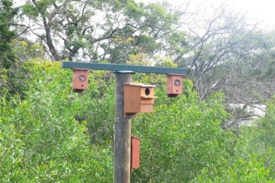 Habitat Poles