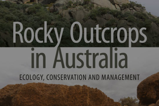 Rocky Outcrops in Australia