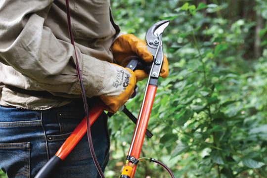 Weed Control Tools