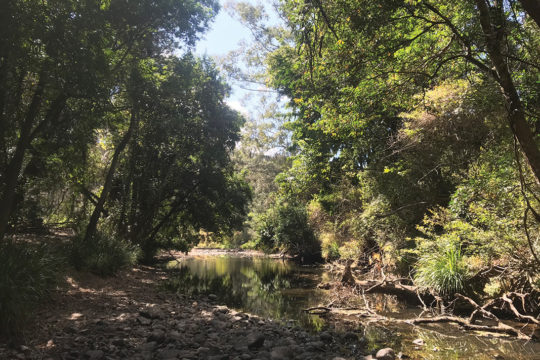 Community-driven landscape management in Cedar Creek Corridor