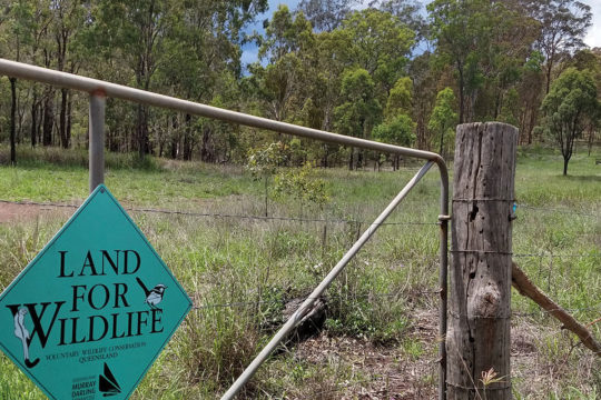Reinvigorating Land for Wildlife in the Toowoomba region