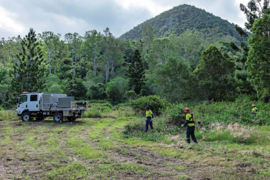 Herbicide-free methods of weed control