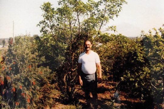 From Paddock to Ephemeral Wetland