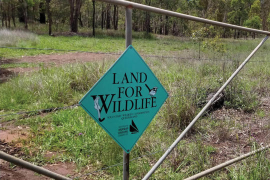 Toowoomba Rejoins Land for Wildlife