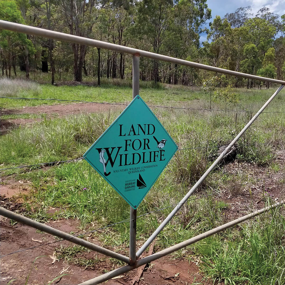 Toowoomba flora