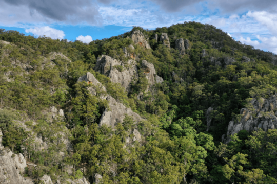 Post-fire Recovery: Targeting Rock-wallabies, Glossy Black-Cockatoos and Koalas