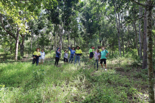 Fraser Coast Walk and Talk