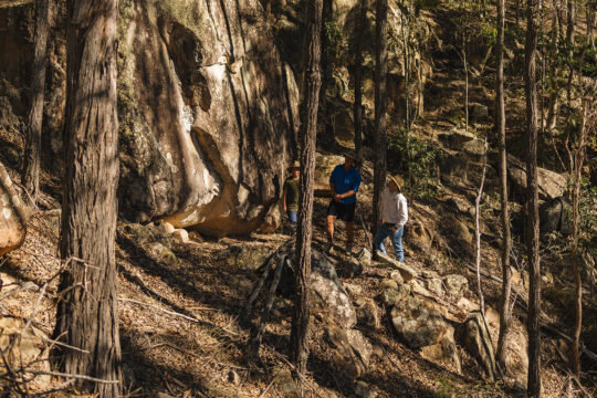 Students Help Search for Quolls