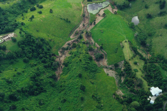 From Farm to Forest: 30 Years of Revegetation