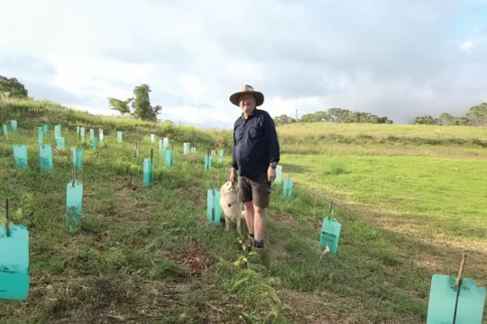 Helping Heal the Land