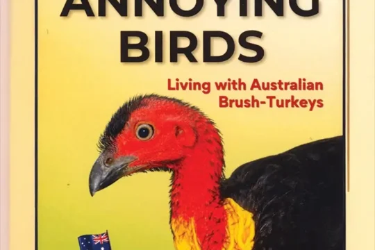 Amazing Annoying Birds: Living with Australian Brush-Turkeys